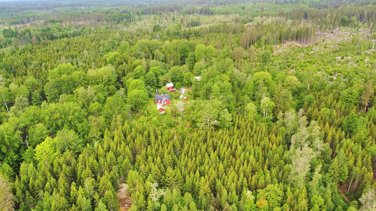 Photo of Outdoor in Morlunda