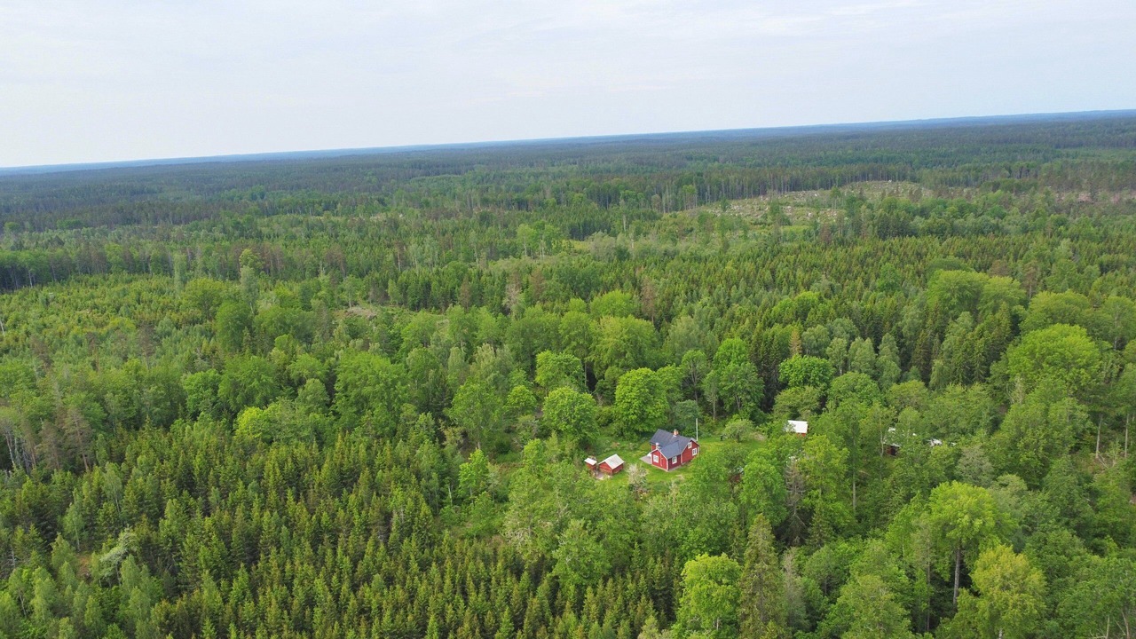 Photo of Outdoor in Morlunda
