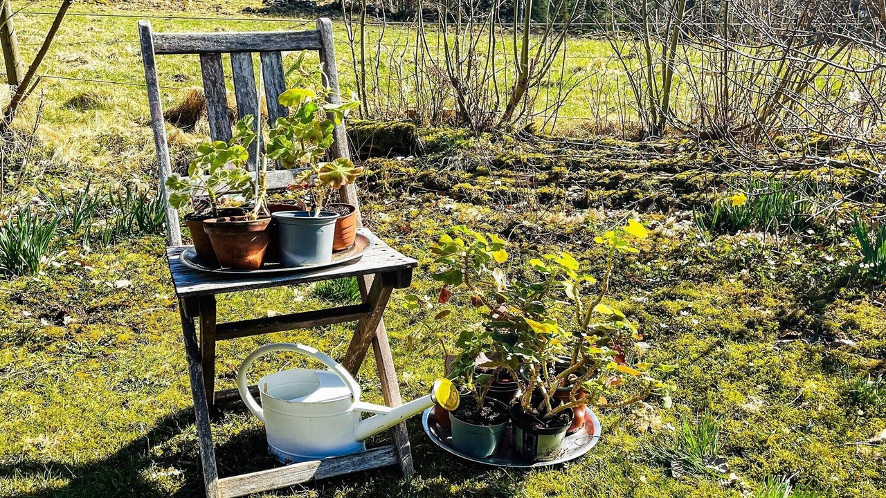 Photo of Outdoor in Istorp