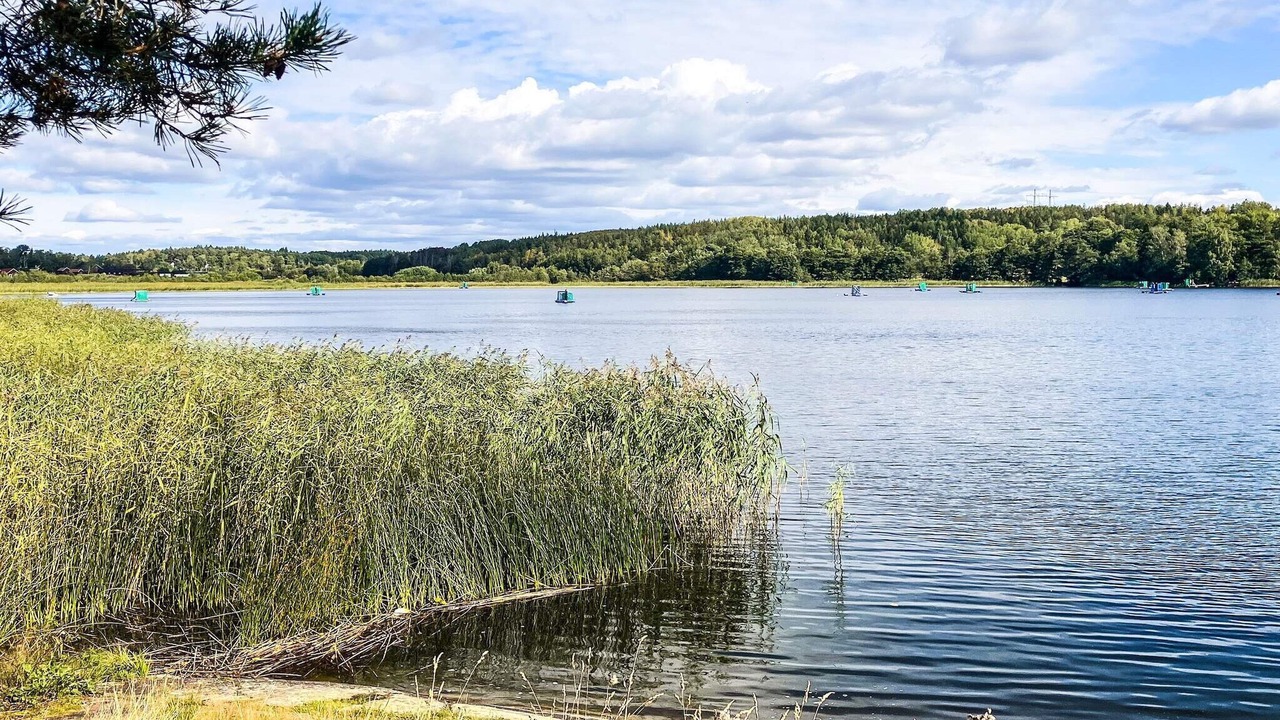 Photo of Others in Sollentuna