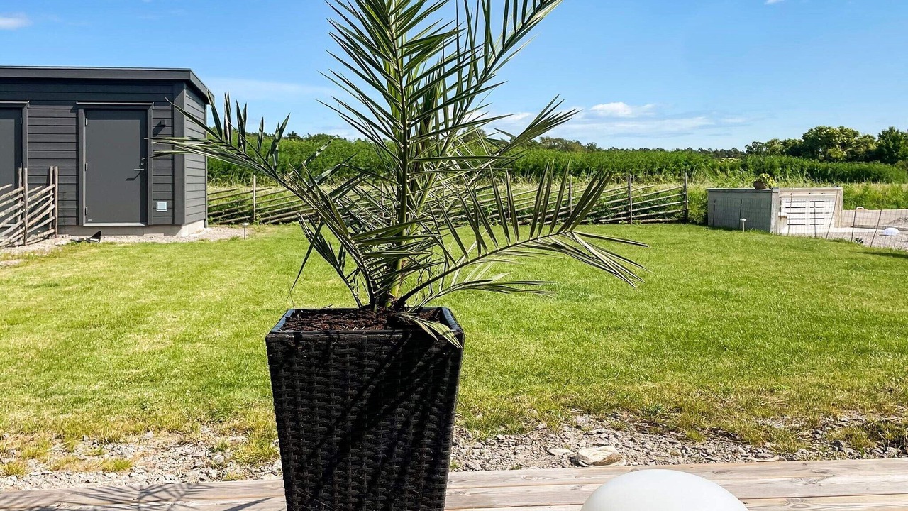 Photo of Outdoor in Morbylanga