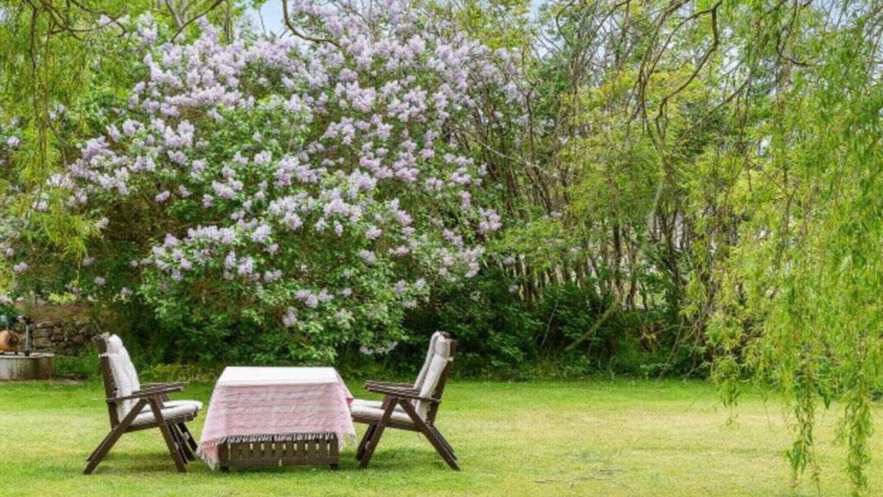 Photo of Outdoor in Fagelmara
