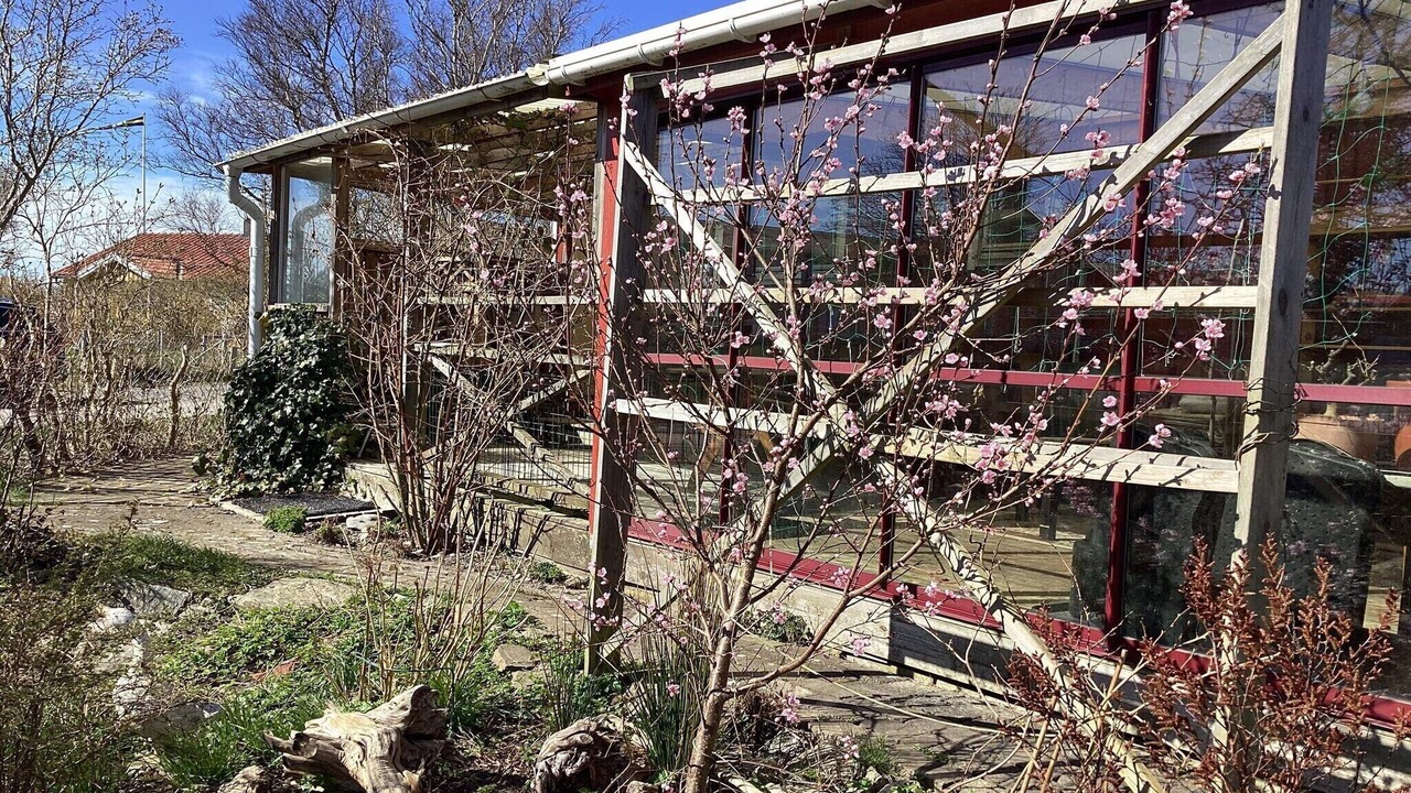 Photo of Outdoor in Asa