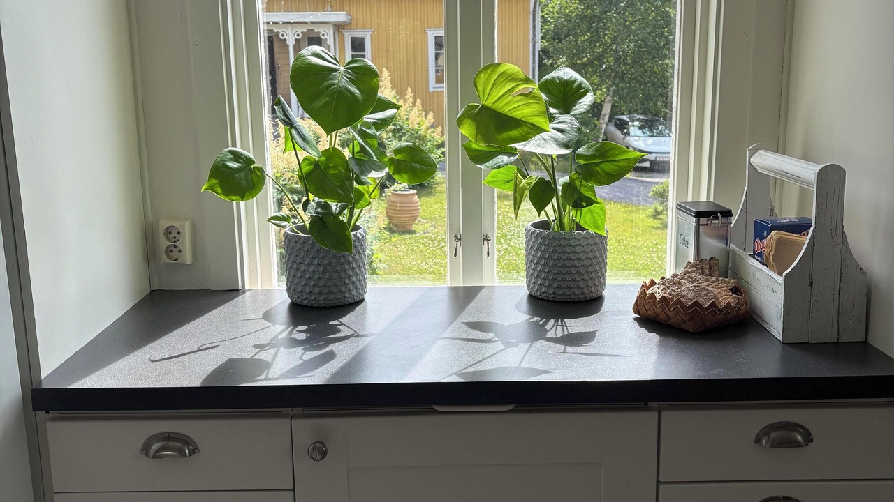 Photo of Others in Norrkoping O