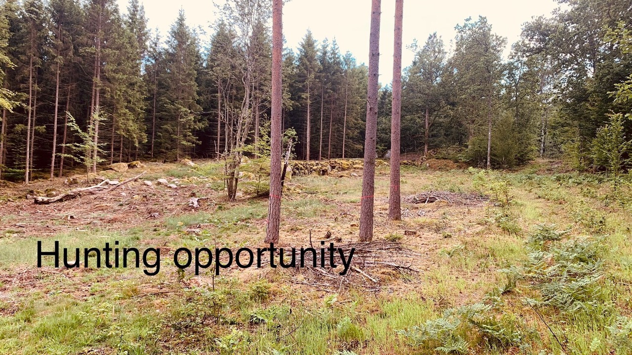 Photo of Others in Ronneby