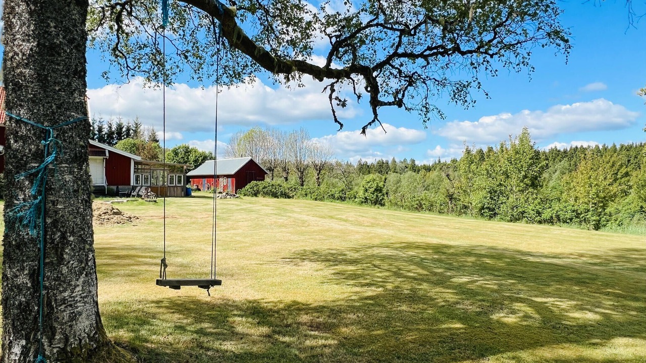 Photo of Others in Hogsater