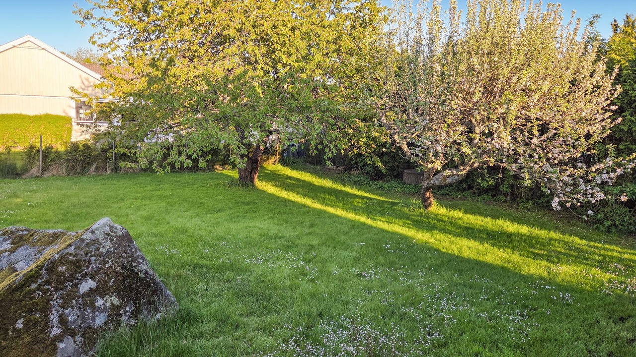 Photo of Others in Blomstermala