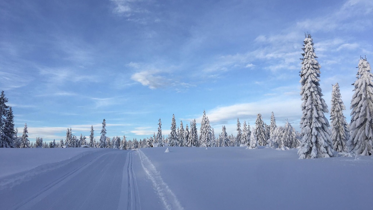 Photo of Others in Sjusjoen