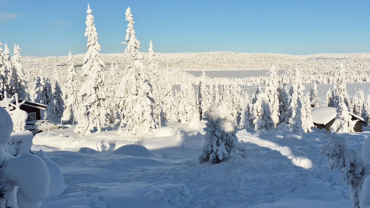 Photo of Others in Sjusjoen