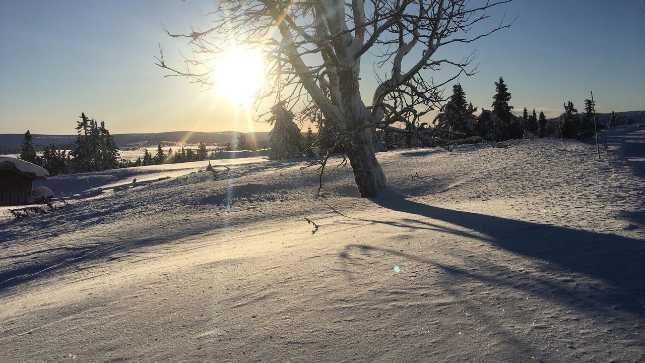 Photo of Others in Sjusjoen