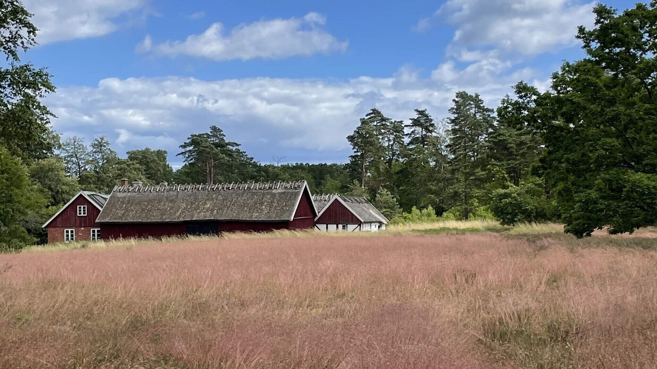Photo of Outdoor in Degeberga