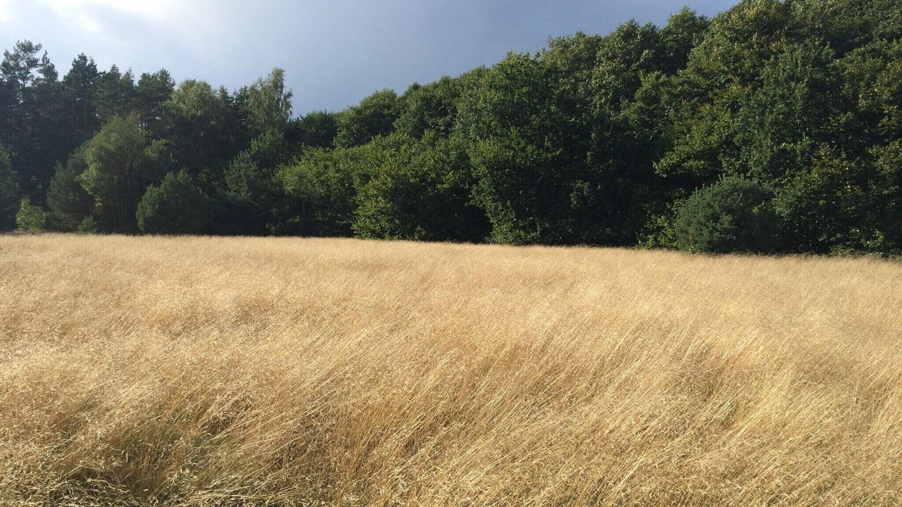 Photo of Outdoor in Degeberga