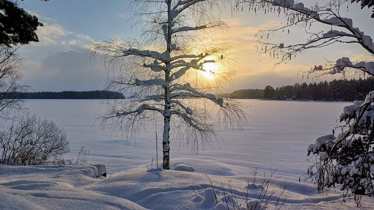 Photo of Others in Sandviken
