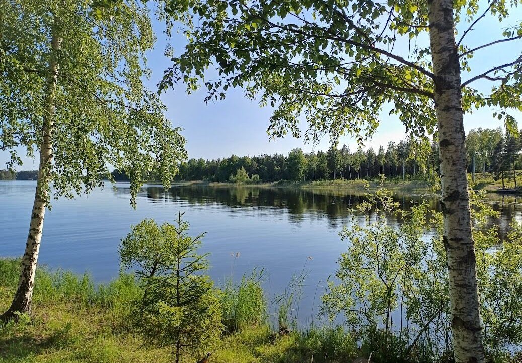 Photo of Others in Sandviken