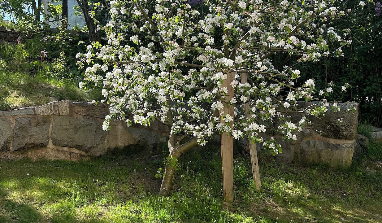 Photo of Outdoor in Islinge