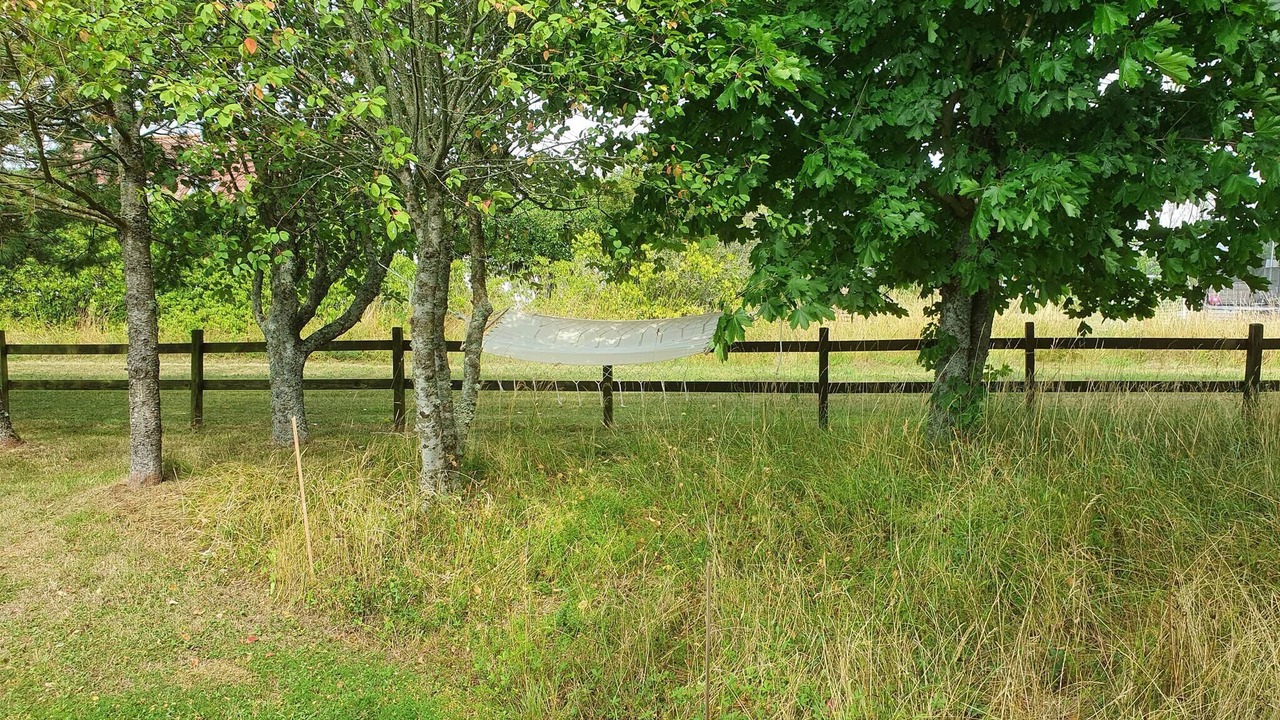 Photo of Others in Hemse