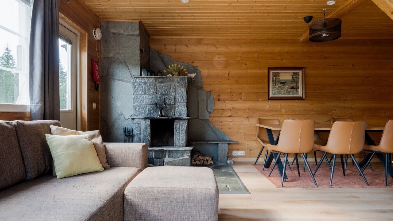 Photo of Livingroom in Sirkka