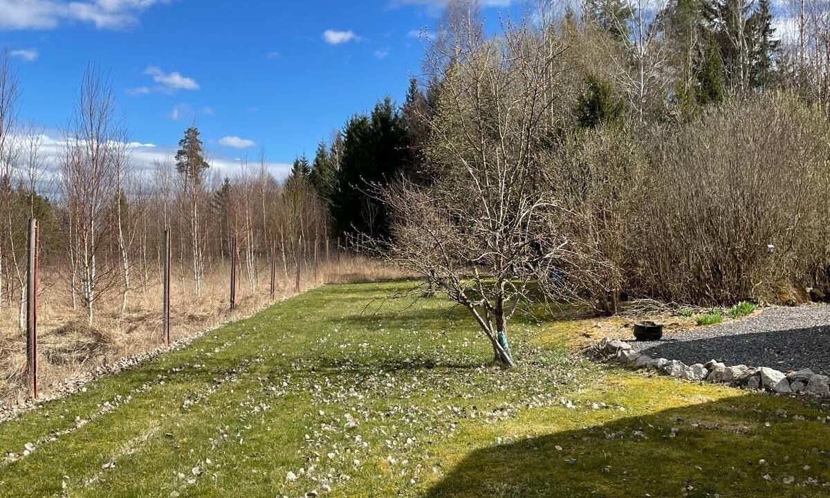 Photo of Outdoor in Bjorkvik