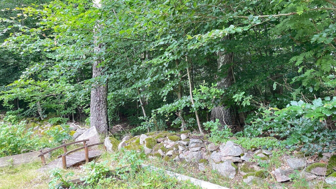 Photo of Outdoor in Horby