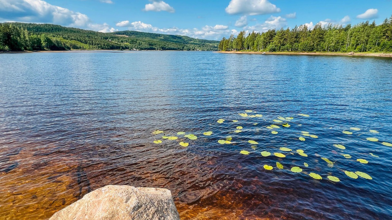 Photo of Others in Ostmark