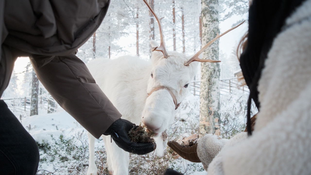 Photo of Outdoor in Vikajarvi