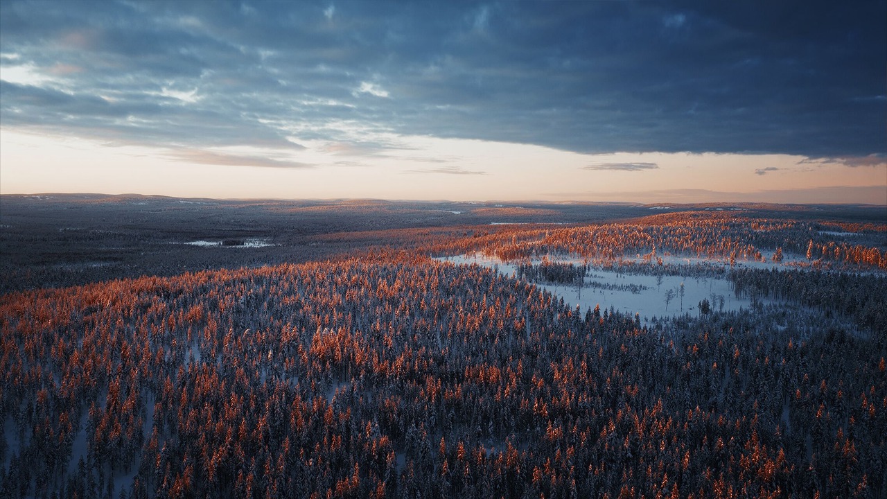 Photo of Outdoor in Vikajarvi