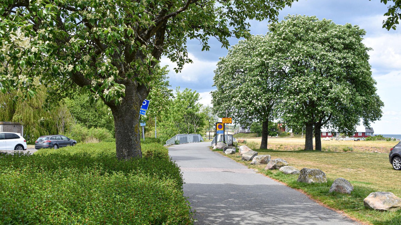 Photo of Others in Simrishamn
