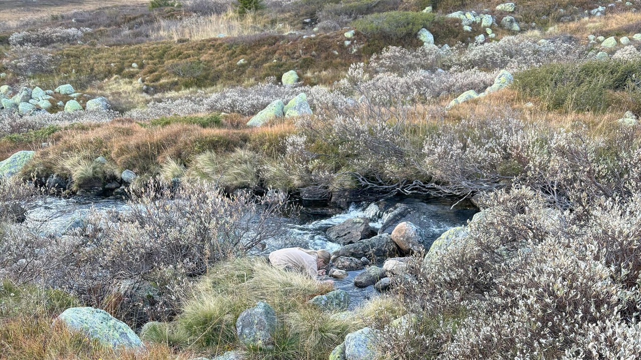 Photo of Others in Kroderen