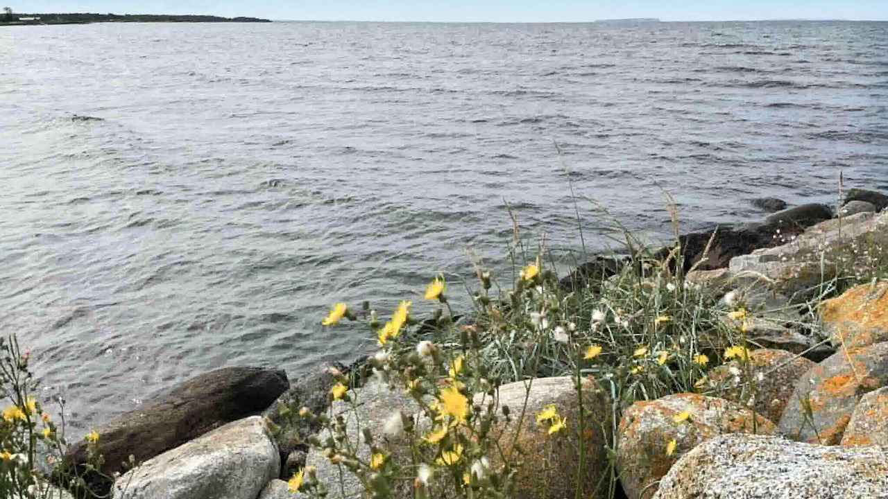 Photo of Others in Klintehamn