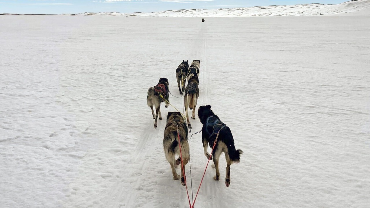 Photo of Others in Uvdal