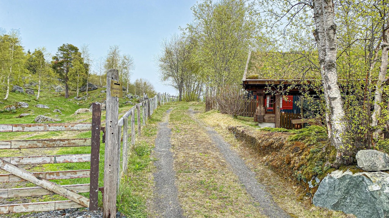 Photo of Others in Oppdal
