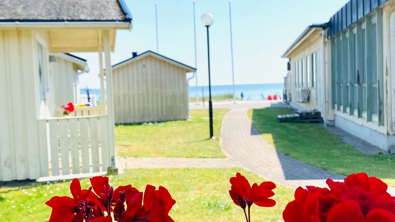 Photo of Outdoor in Hallevik
