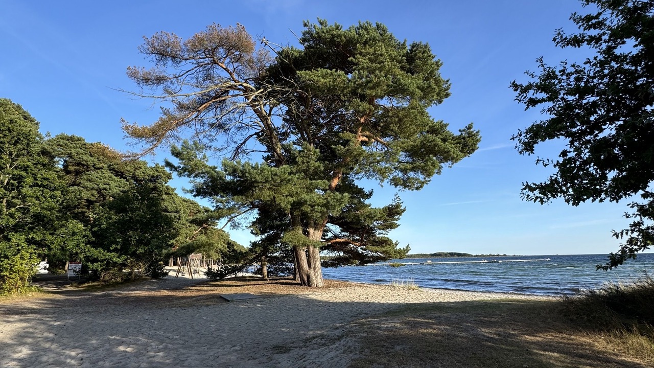 Photo of Others in Hallevik
