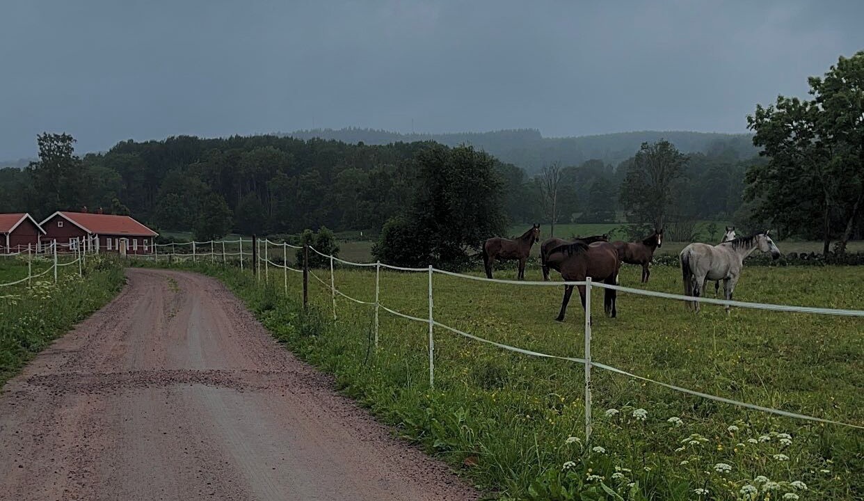 Photo of Others in Skovde Municipality