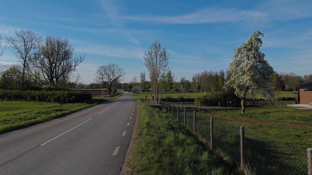 Photo of Others in Skovde