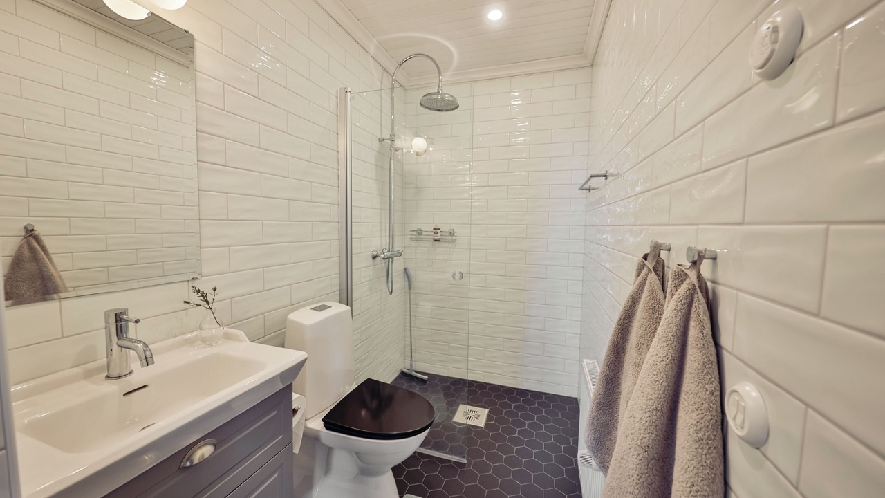 Photo of Bathroom in Loppi