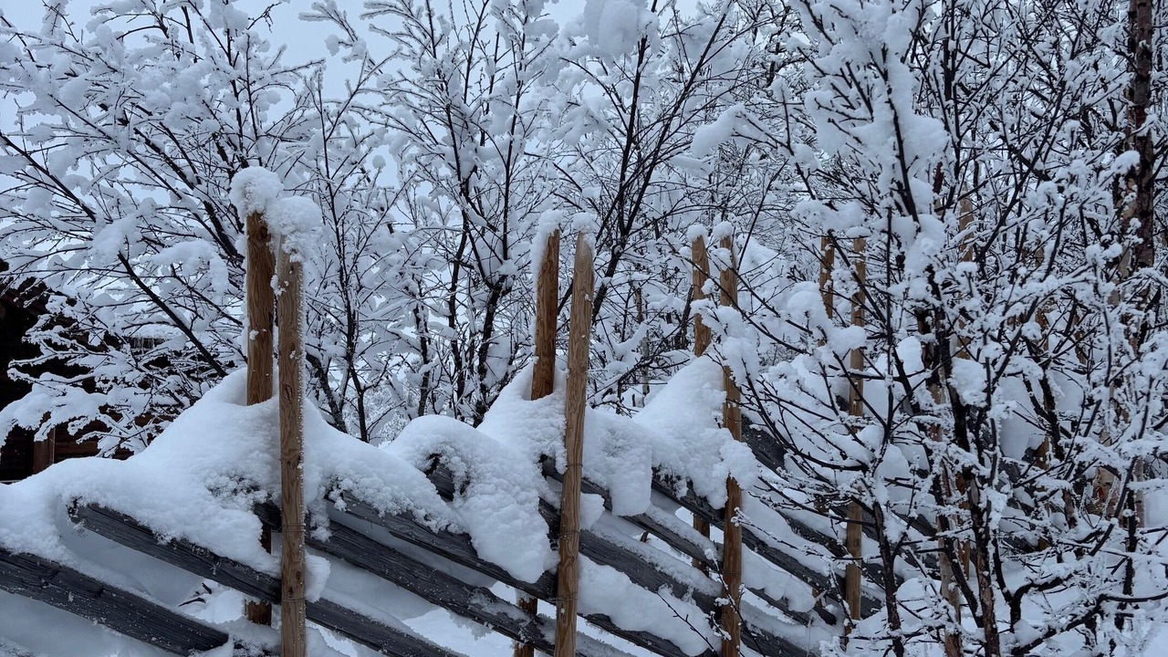 Photo of Outdoor in Al Municipality