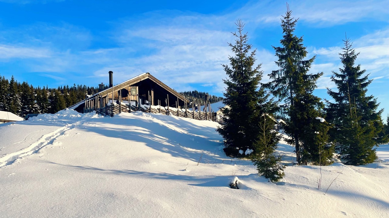 Photo of Outdoor in Ringsaker