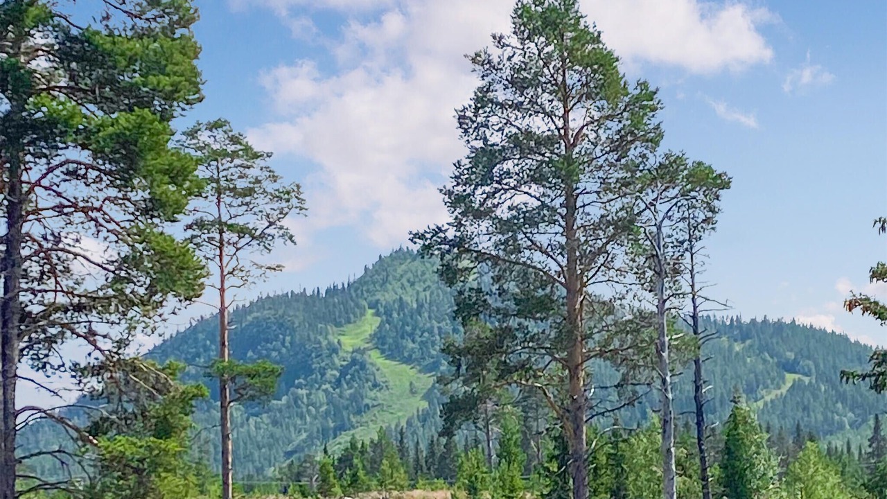 Photo of Others in Tannas