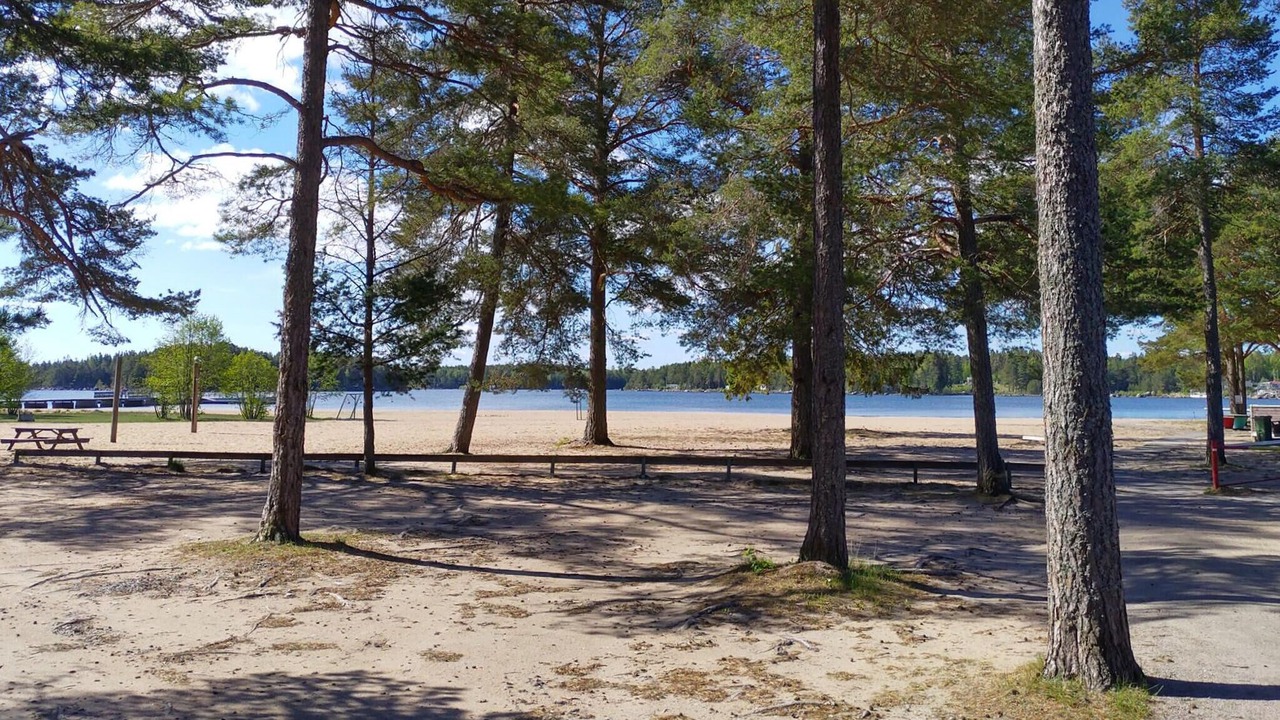 Photo of Others in Sandarne