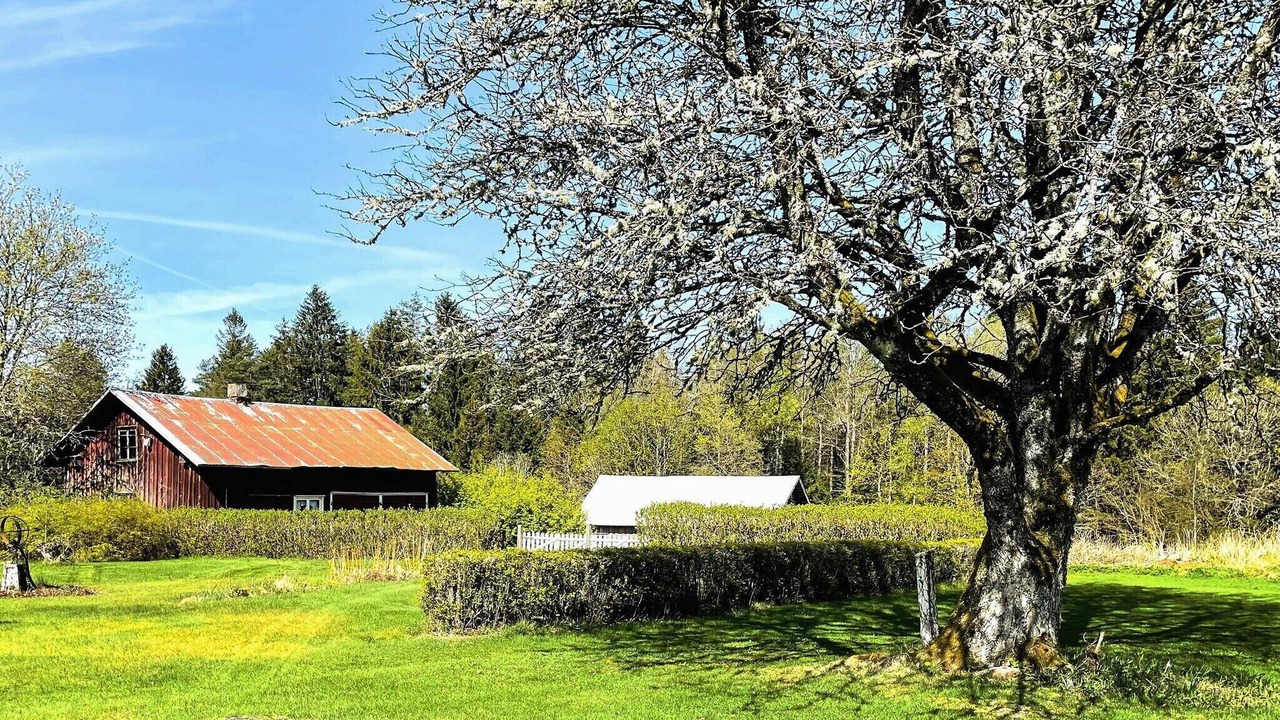 Photo of Outdoor in Herrljunga Municipality
