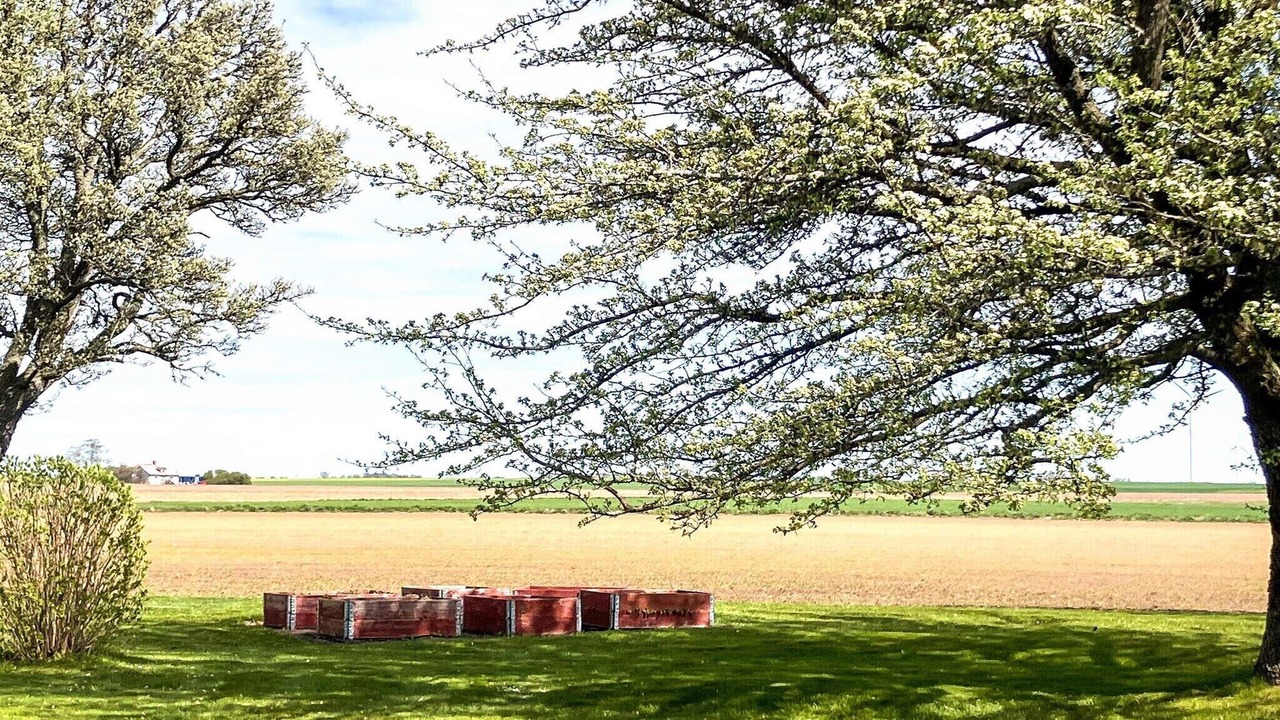 Photo of Outdoor in Odeshog