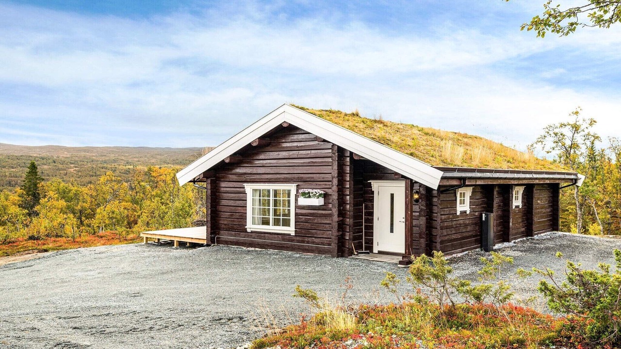 Photo of Outdoor in Holtalen