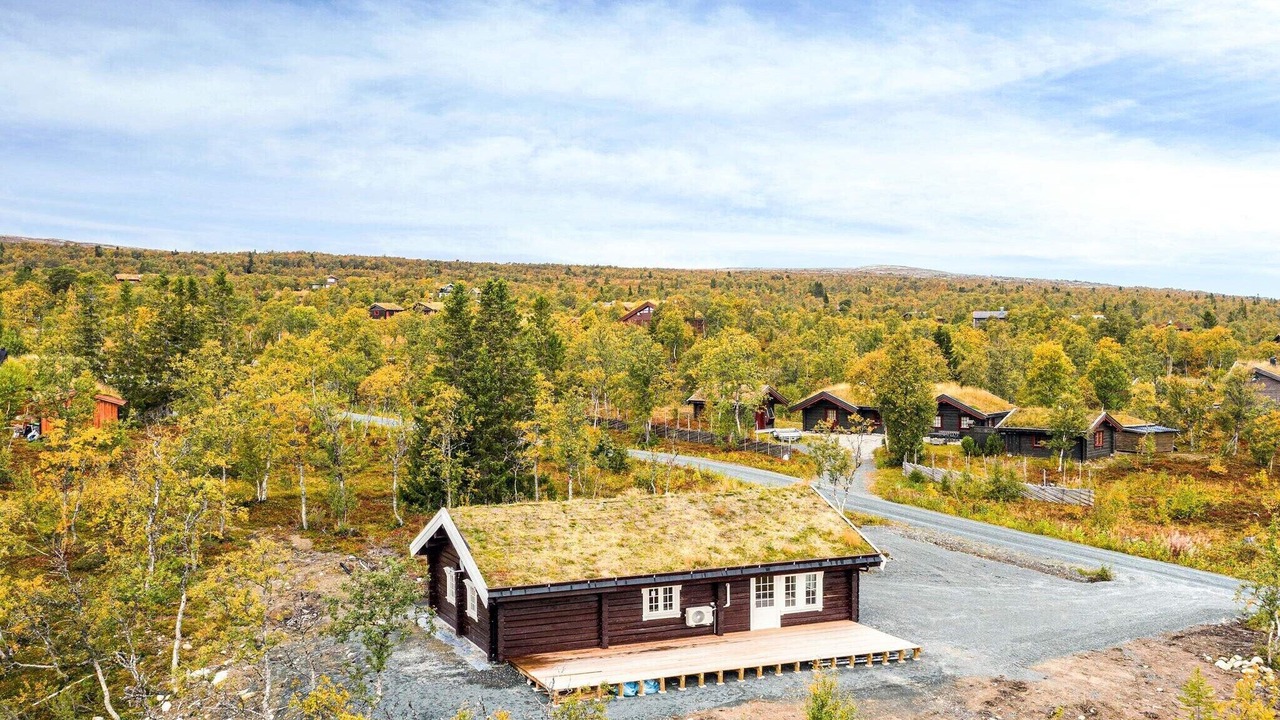 Photo of Outdoor in Holtalen