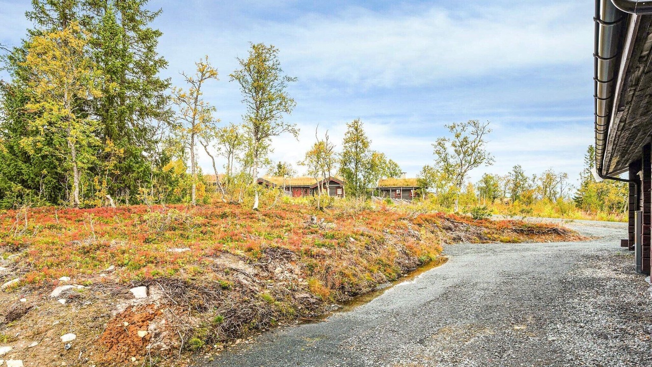 Photo of Outdoor in Holtalen
