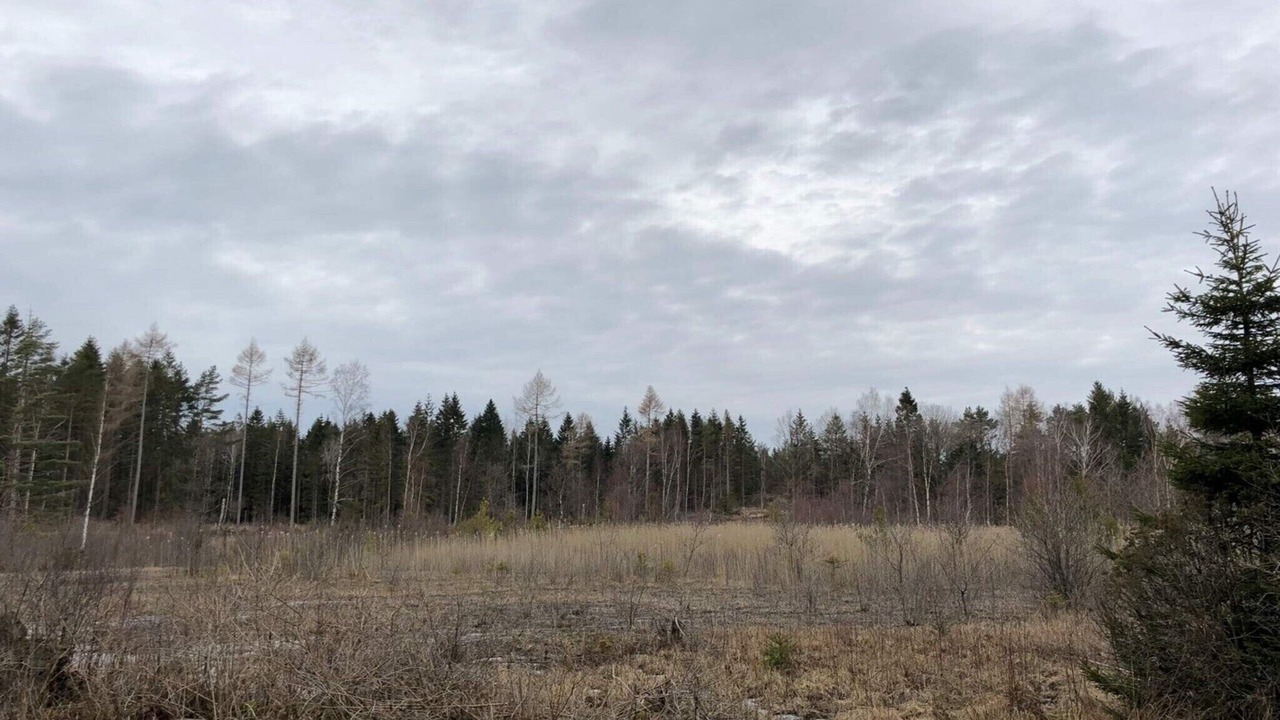 Photo of Others in Gerlesborg