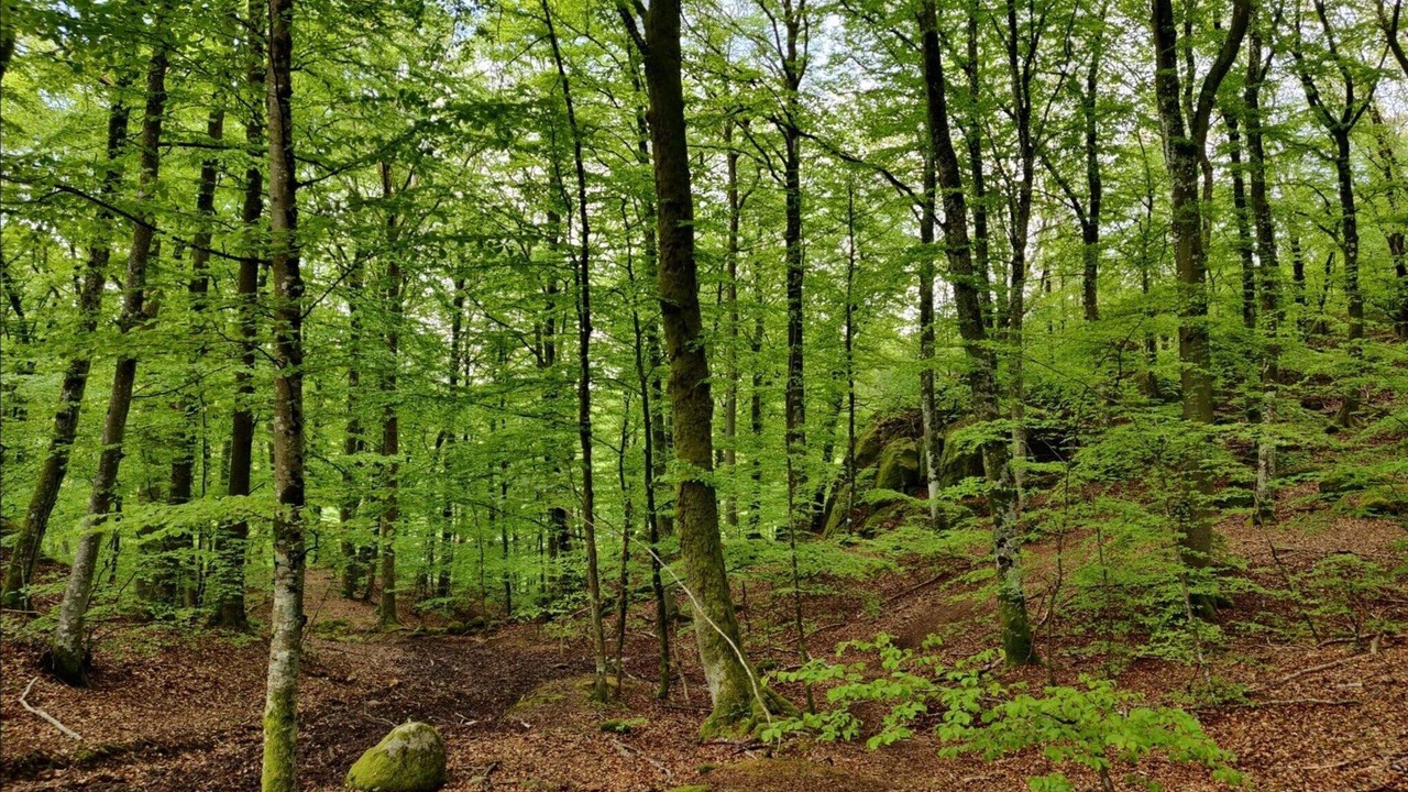 Photo of Others in Gerlesborg