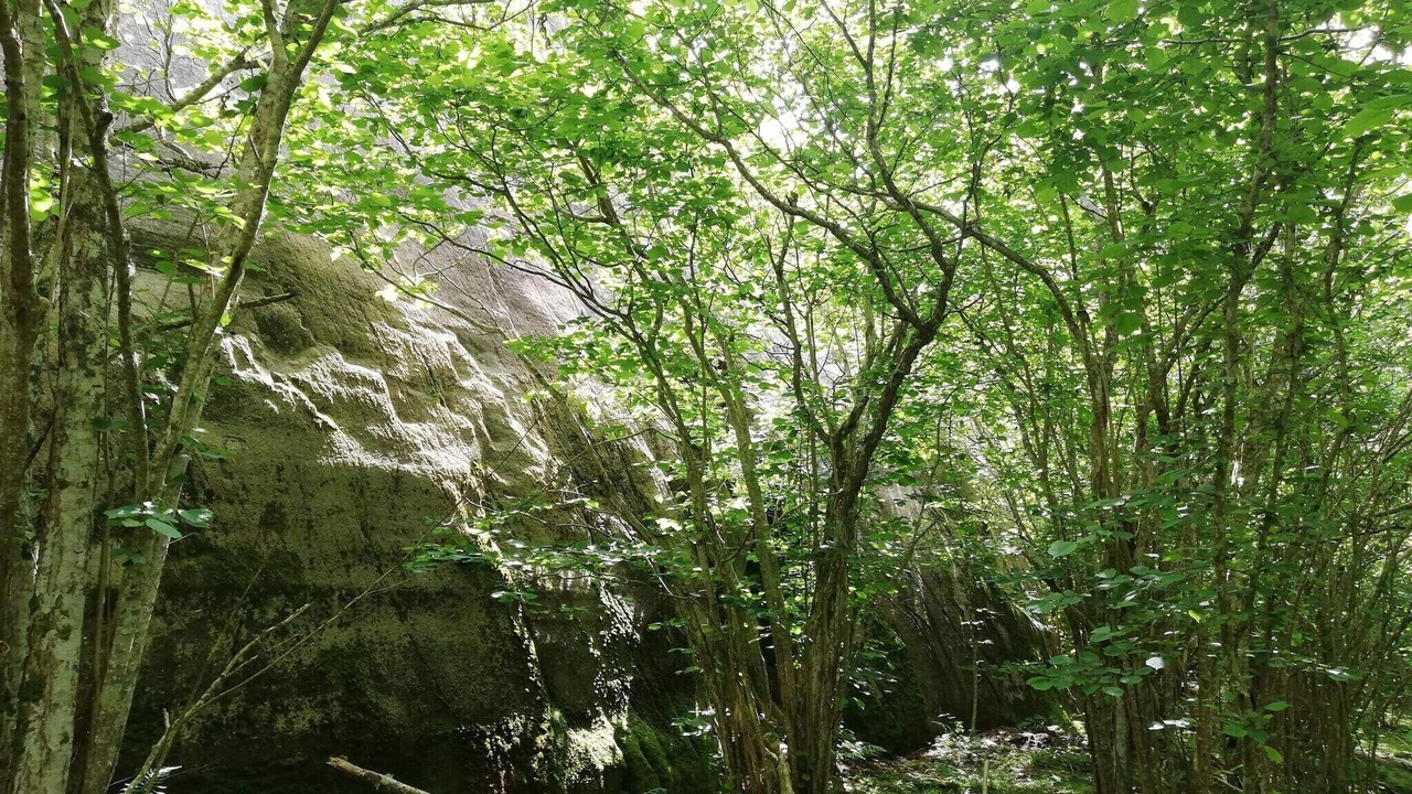 Photo of Others in Gerlesborg