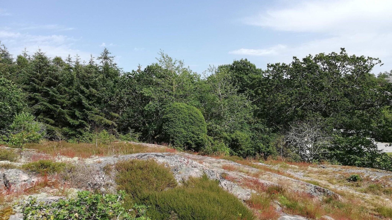 Photo of Others in Gerlesborg