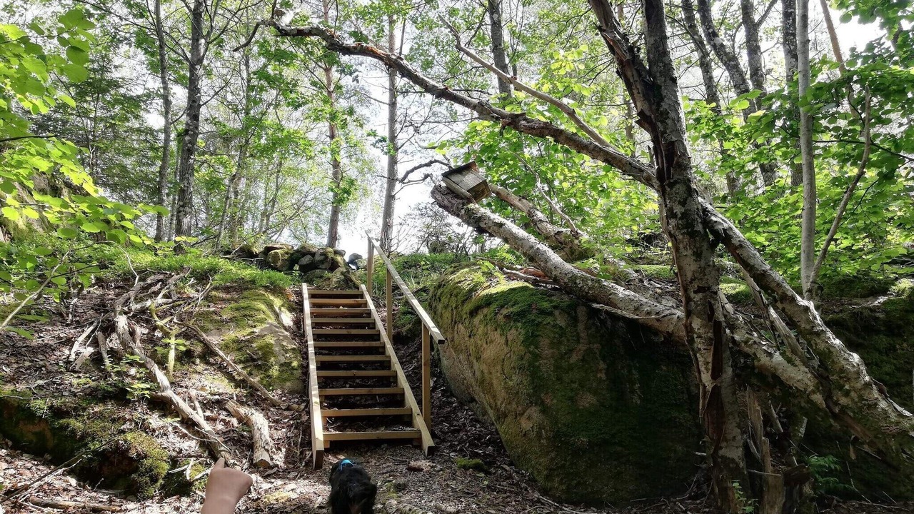 Photo of Outdoor in Gerlesborg